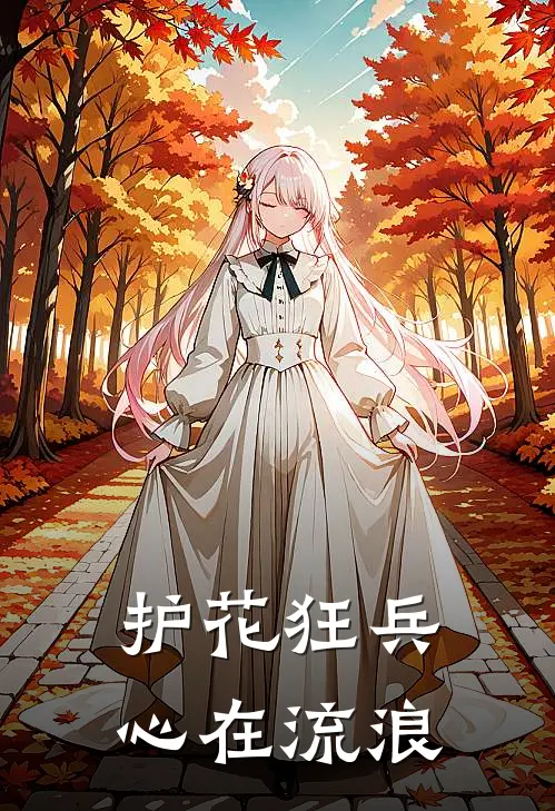 护花狂兵 心在流浪