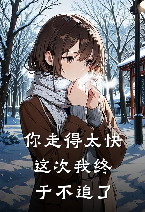 你走得太快,这次我终于不追了