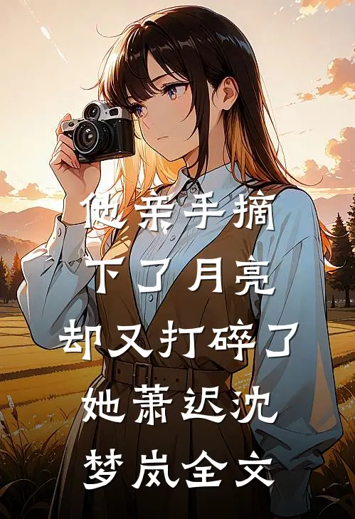 他亲手摘下了月亮，却又打碎了她萧迟沈梦岚全文