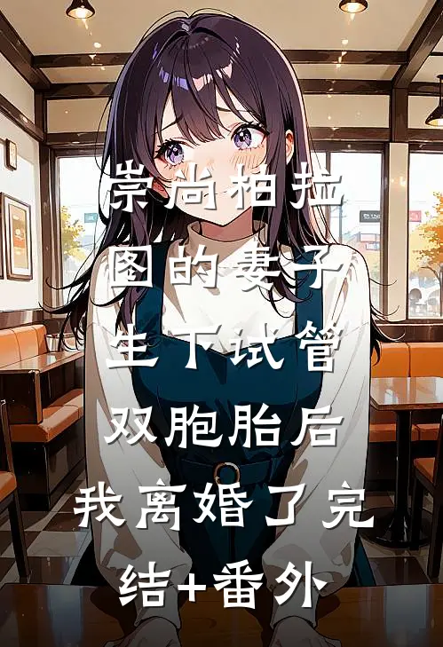 崇尚柏拉图的妻子生下试管双胞胎后，我离婚了完结+番外