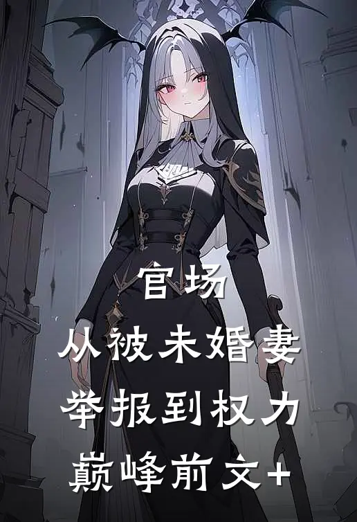 官场：从被未婚妻举报到权力巅峰前文+