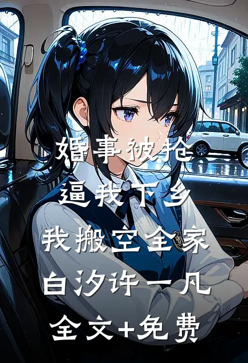 婚事被抢逼我下乡，我搬空全家白汐许一凡全文+免费