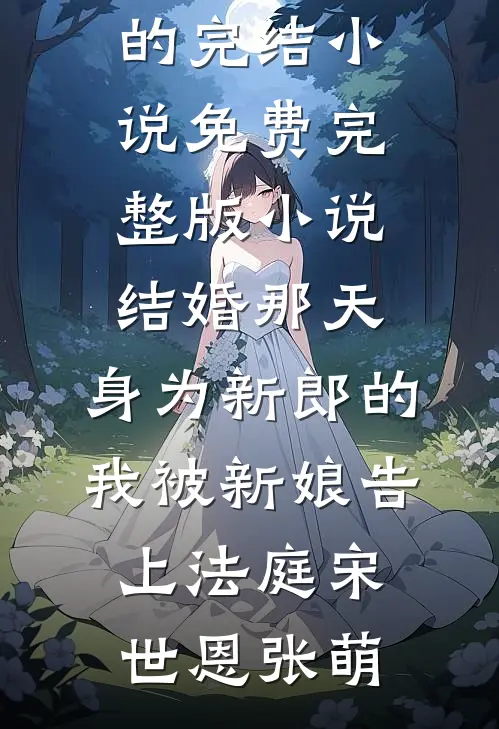 结婚那天，身为新郎的我被新娘告上法庭宋世恩张萌好看的完结小说_免费完整版小说结婚那天，身为新郎的我被新娘告上法庭(宋世恩张萌)