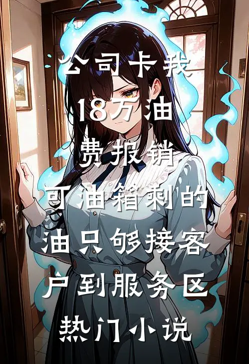 公司卡我18万油费报销，可油箱剩的油只够接客户到服务区热门小说