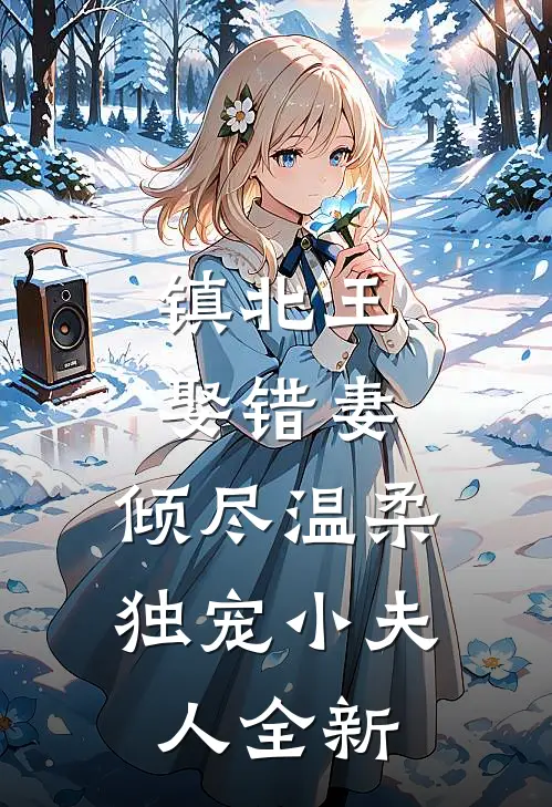 镇北王娶错妻，倾尽温柔独宠小夫人全新