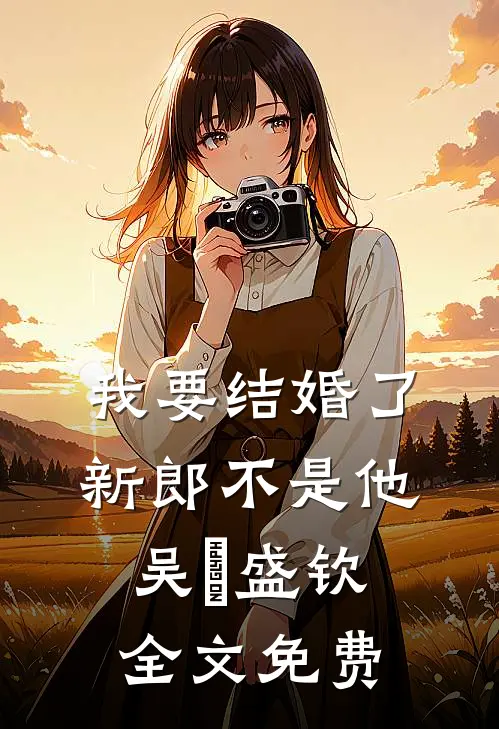 我要结婚了，新郎不是他吴玥盛钦全文免费