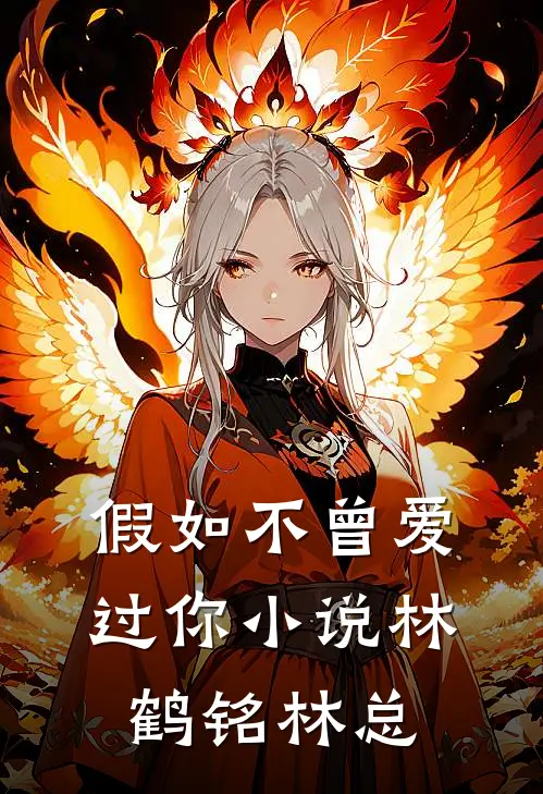 假如不曾爱过你小说林鹤铭林总