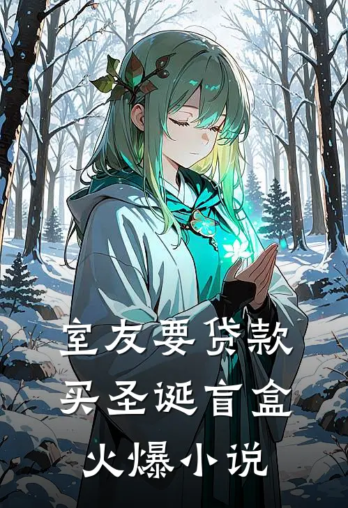 室友要贷款买圣诞盲盒火爆小说