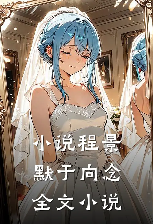 小说程景默于向念全文小说