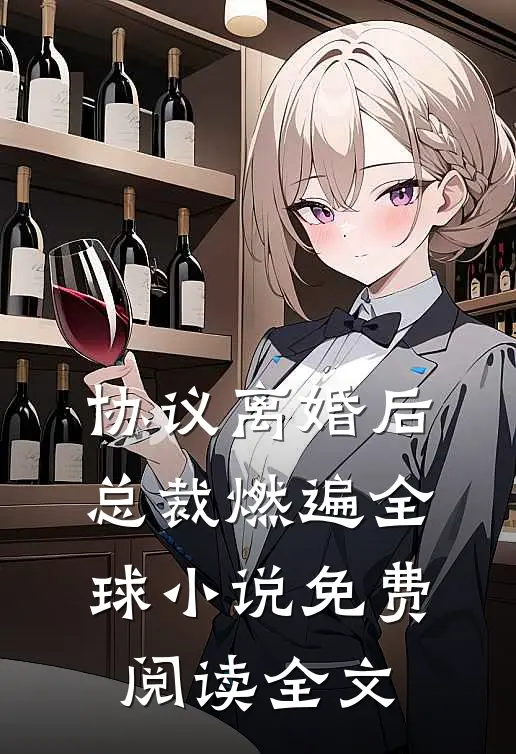 协议离婚后，总裁燃遍全球小说免费阅读全文