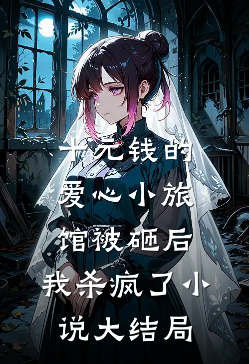 十元钱的爱心小旅馆被砸后，我杀疯了小说大结局