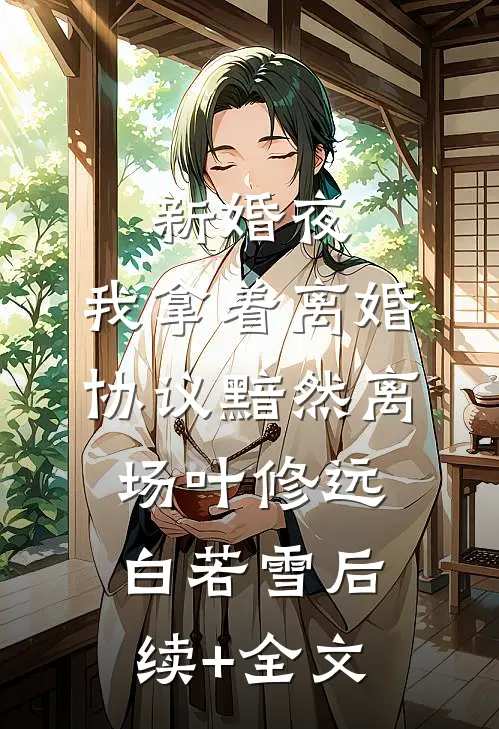 新婚夜，我拿着离婚协议黯然离场叶修远白若雪后续+全文