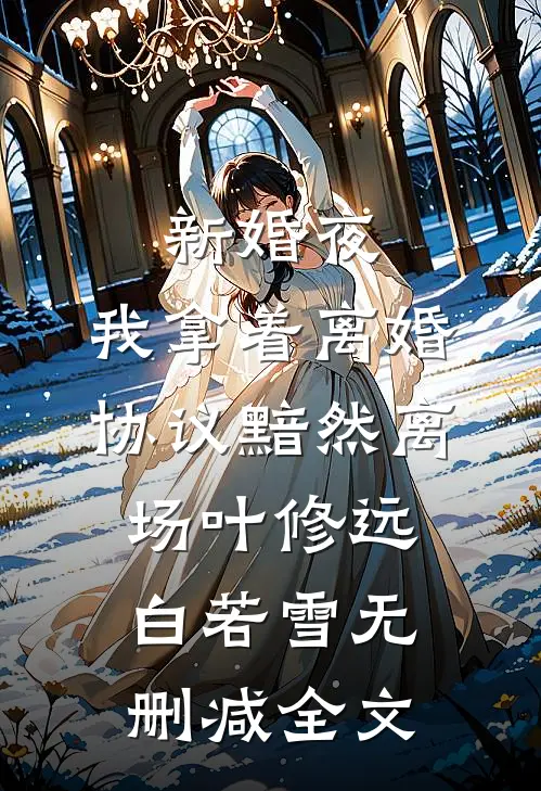 新婚夜，我拿着离婚协议黯然离场叶修远白若雪无删减全文