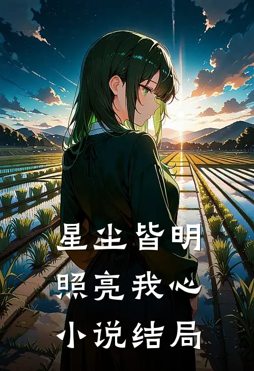 星尘皆明,照亮我心结局怎么样