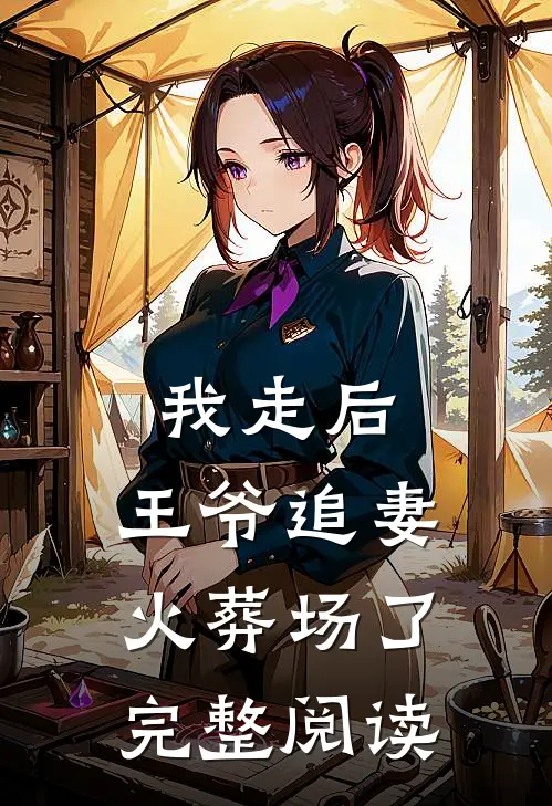 我走后，王爷追妻火葬场了完整阅读