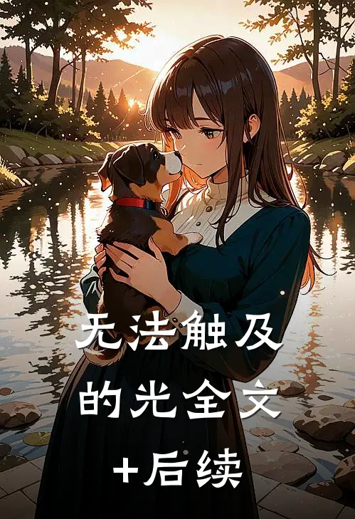 无法触及的光全文+后续