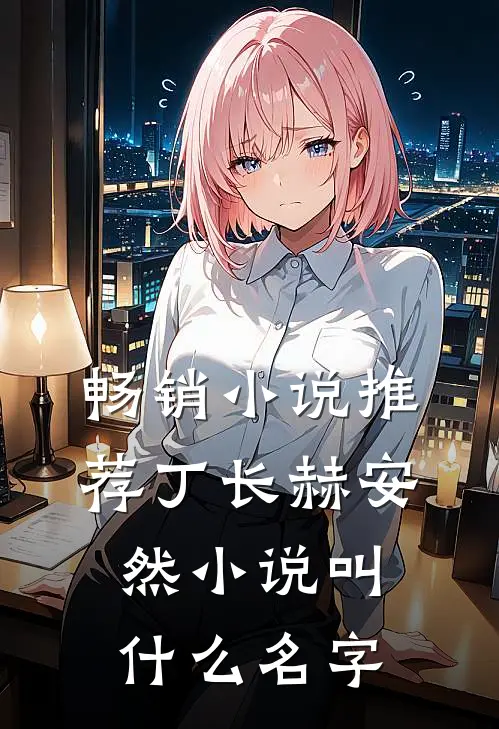 畅销小说推荐丁长赫安然小说叫什么名字