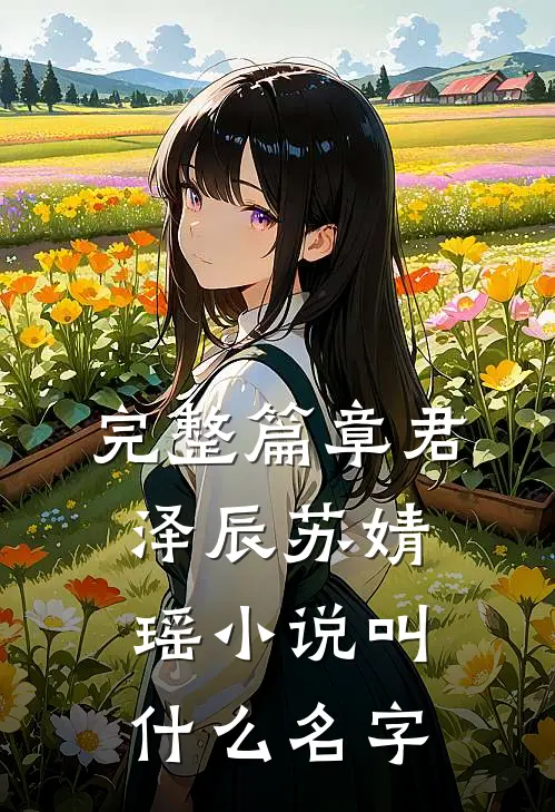 完整篇章君泽辰苏婧瑶小说叫什么名字