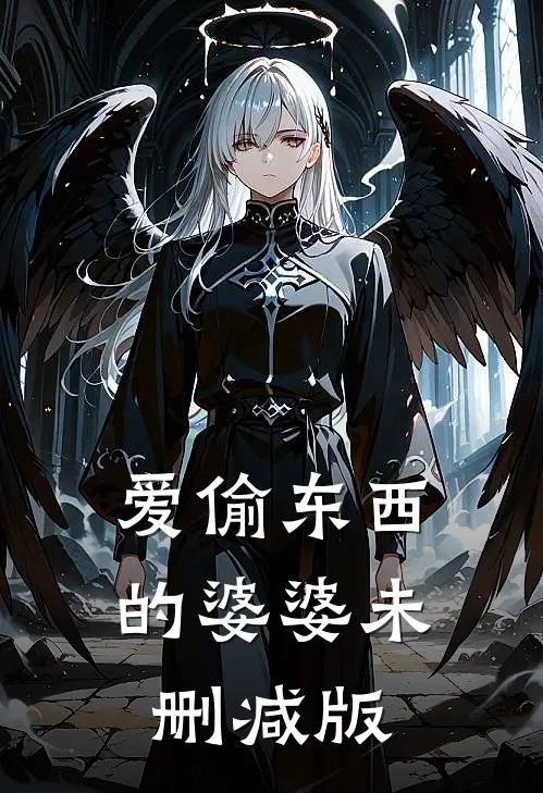 爱偷东西的婆婆未删减版