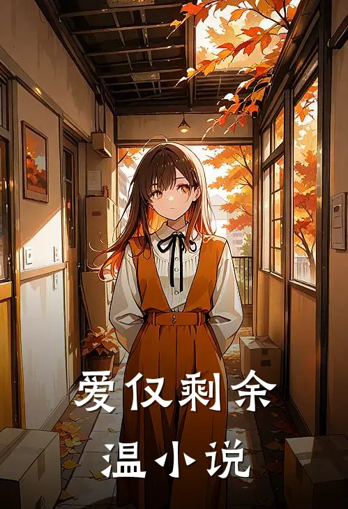 爱仅剩余温小说