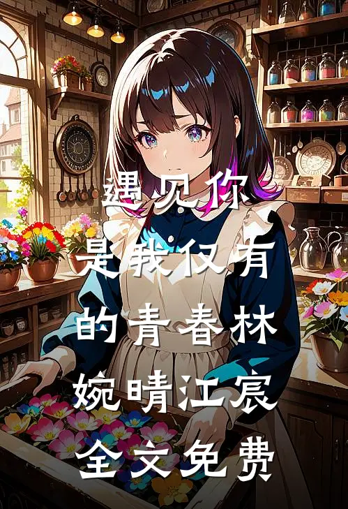 《遇见你，是我仅有的青春》林婉晴江宸全文免费