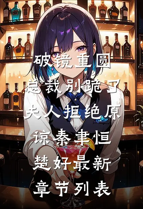破镜重圆：总裁别跪了，夫人拒绝原谅秦聿恒楚好最新章节列表