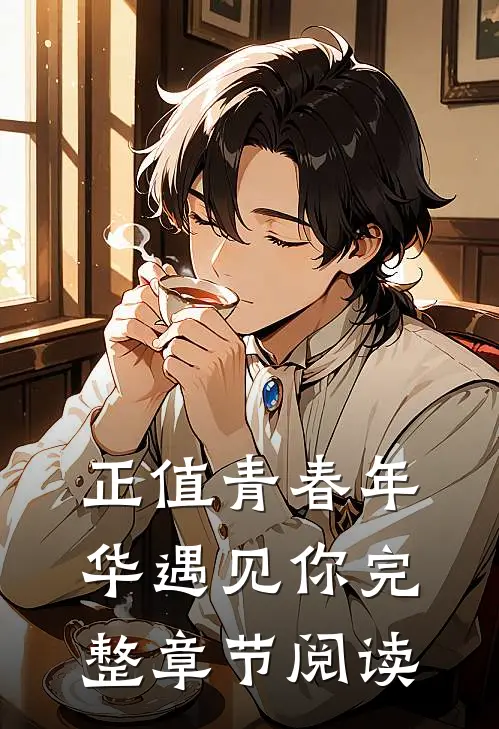 正值青春年华遇见你完整章节阅读