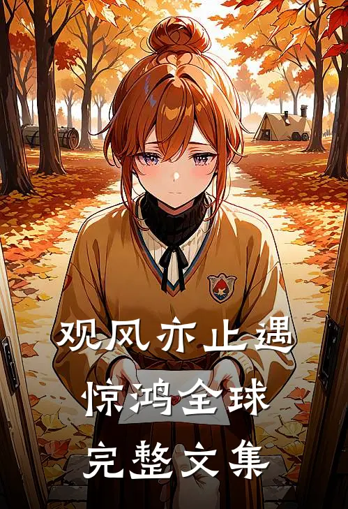 观风亦止遇惊鸿全球完整文集