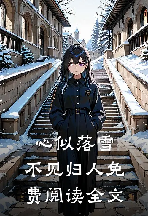 心似落雪，不见归人免费阅读全文