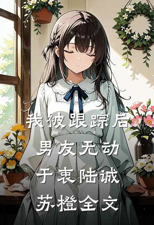 我被跟踪后，男友无动于衷陆诚苏橙全文