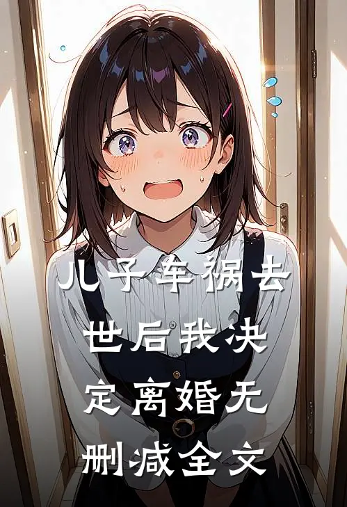 儿子车祸去世后我决定离婚无删减全文