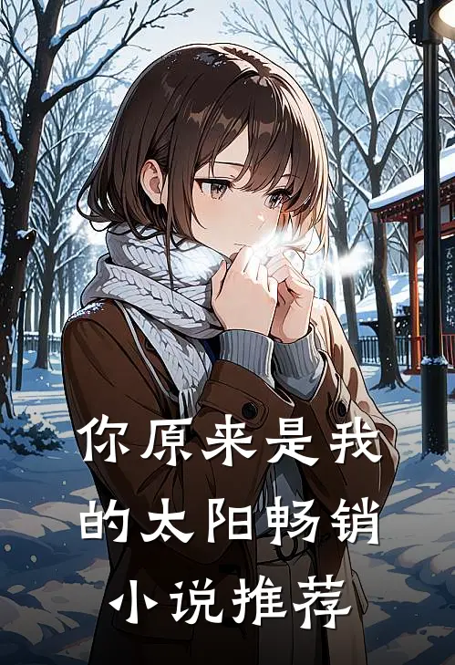 你原来是我的太阳畅销小说推荐