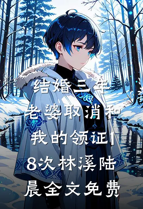 结婚三年，老婆取消和我的领证18次林溪陆晨全文免费