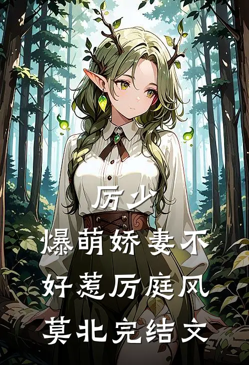 厉少，爆萌娇妻不好惹厉庭风莫北完结文