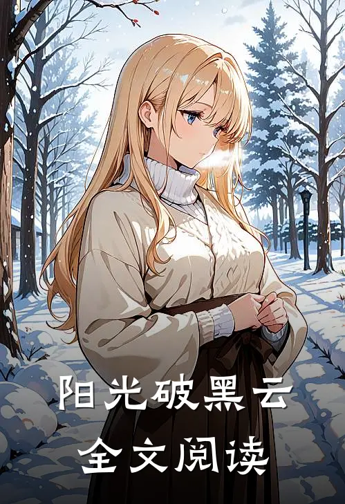 阳光破黑云全文阅读