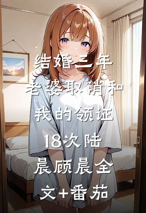 结婚三年，老婆取消和我的领证18次陆晨顾晨全文+番茄