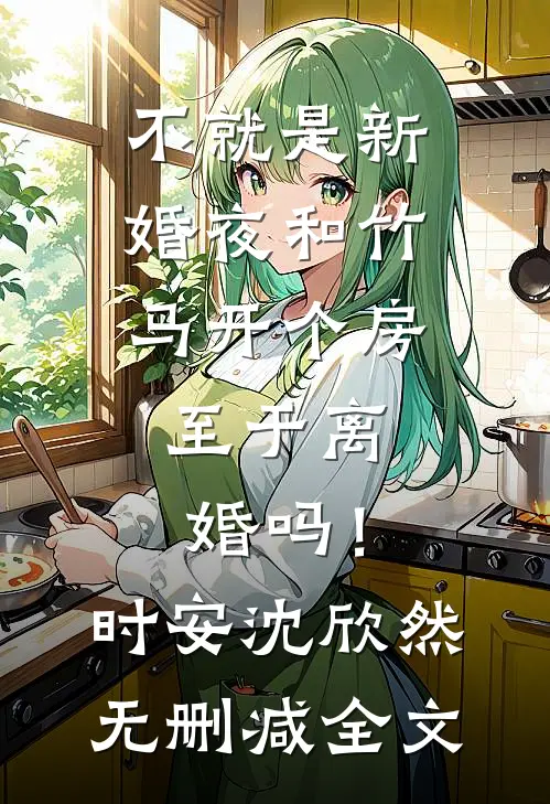 不就是新婚夜和竹马开个房，至于离婚吗！时安沈欣然无删减全文
