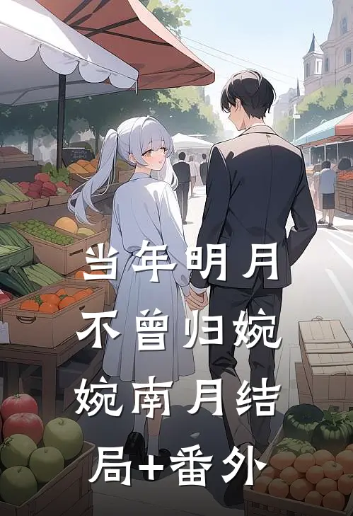 当年明月不曾归婉婉南月结局+番外