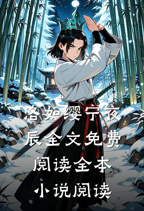 洛如缨宁夜辰全文免费阅读全本小说阅读