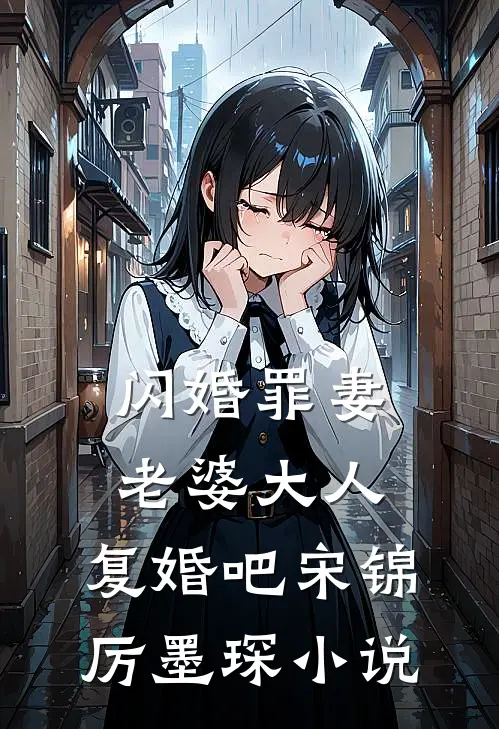 闪婚罪妻：老婆大人，复婚吧宋锦厉墨琛小说