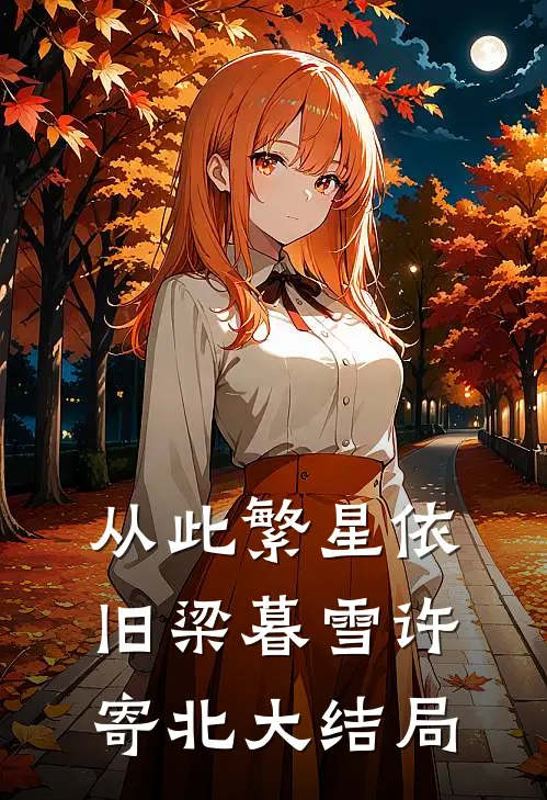 从此繁星依旧梁暮雪许寄北大结局