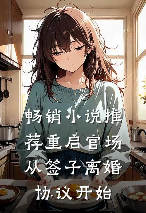 畅销小说推荐重启官场：从签子离婚协议开始
