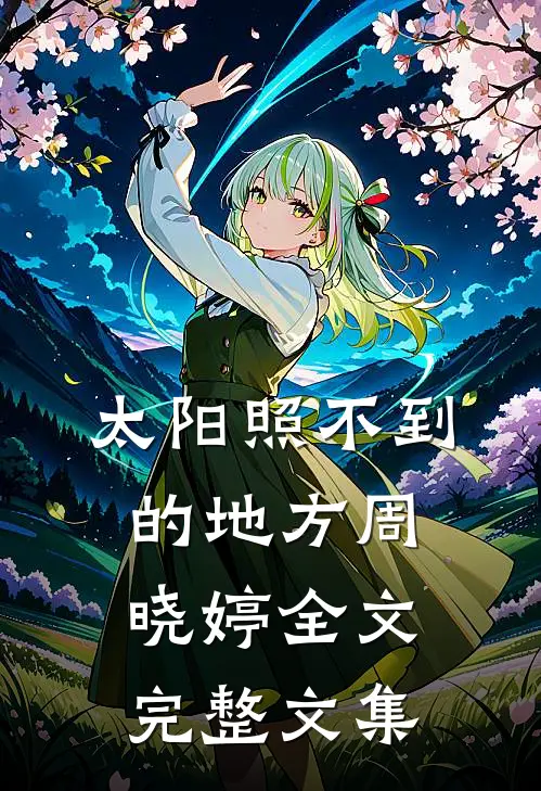 太阳照不到的地方周晓婷全文完整文集